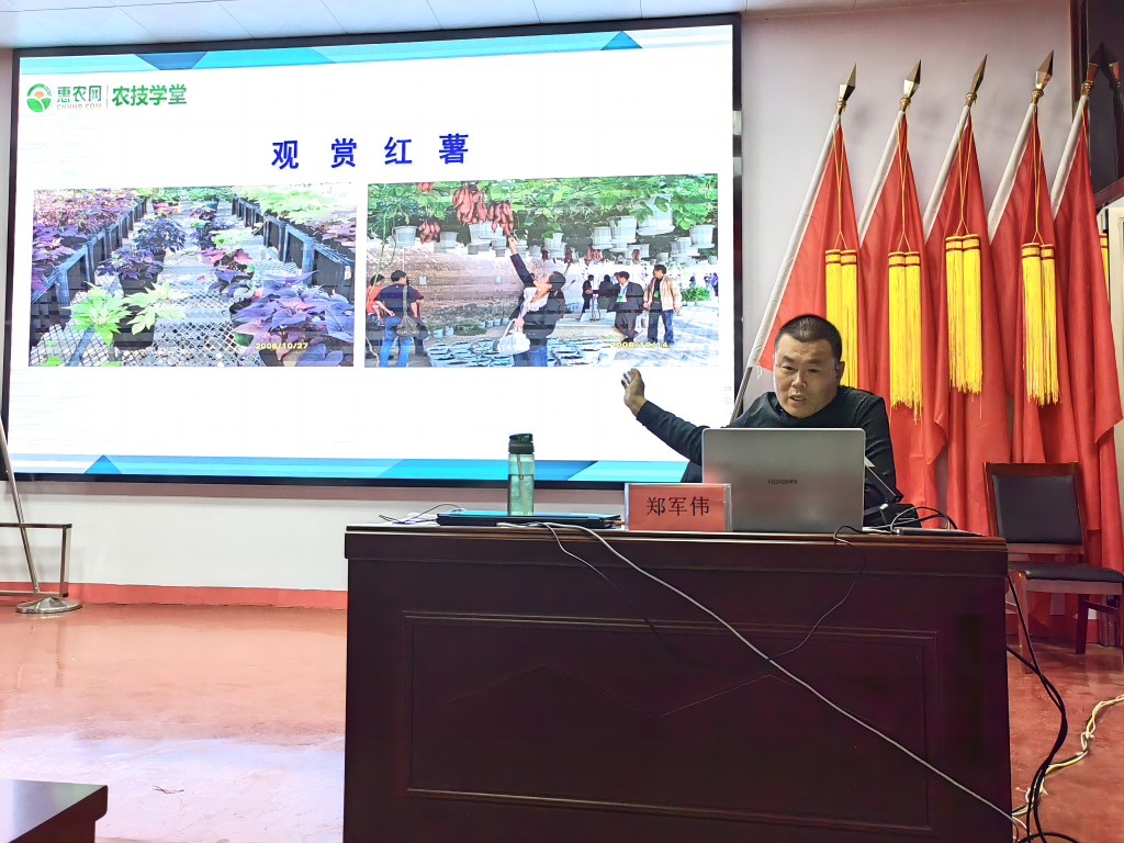 河南省科技特派员郑军伟:把论文写在大地上  把成果留百姓家