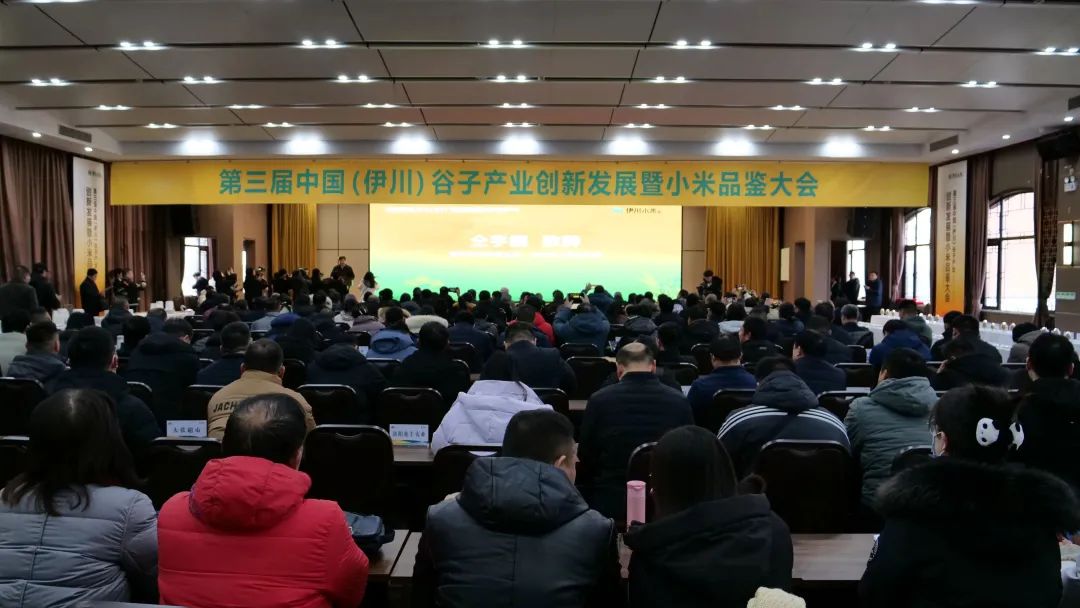 第三届中国（伊川）谷子产业创新发展暨小米品鉴大会召开