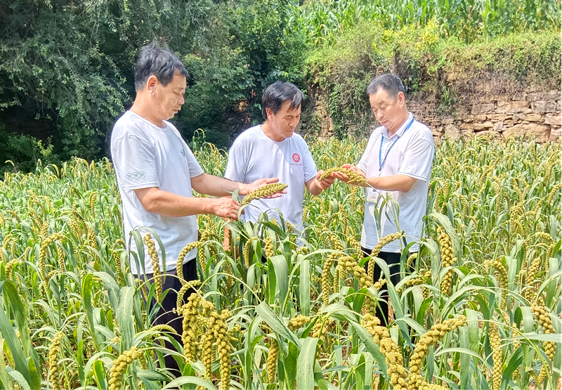 农技推广在地头   科普惠农润心田