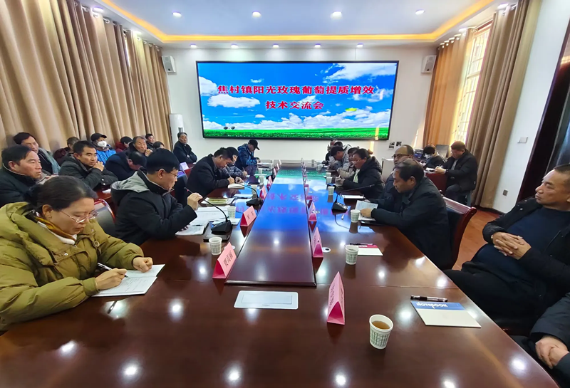 灵宝市焦村镇举办阳光玫瑰葡萄提质增效技术交流会