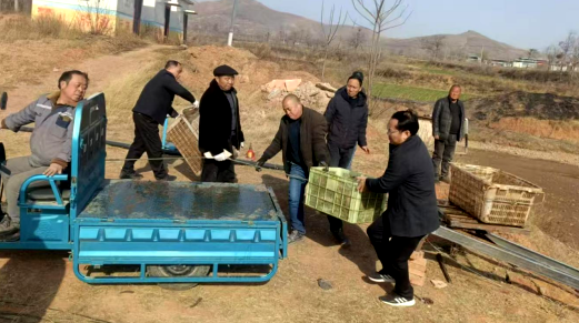 曹楼村“分鱼”传递冬日温暖，共享集体经济硕果