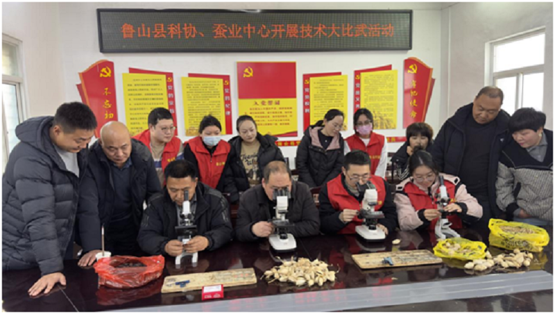 科普蚕业技术 助力乡村振兴