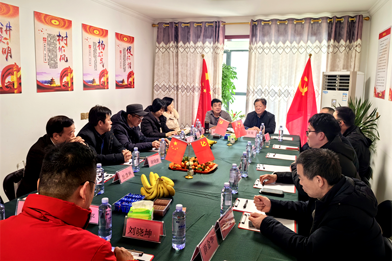 内乡县驻郑创业人员党总支成功召开2024年度工作总结座谈会