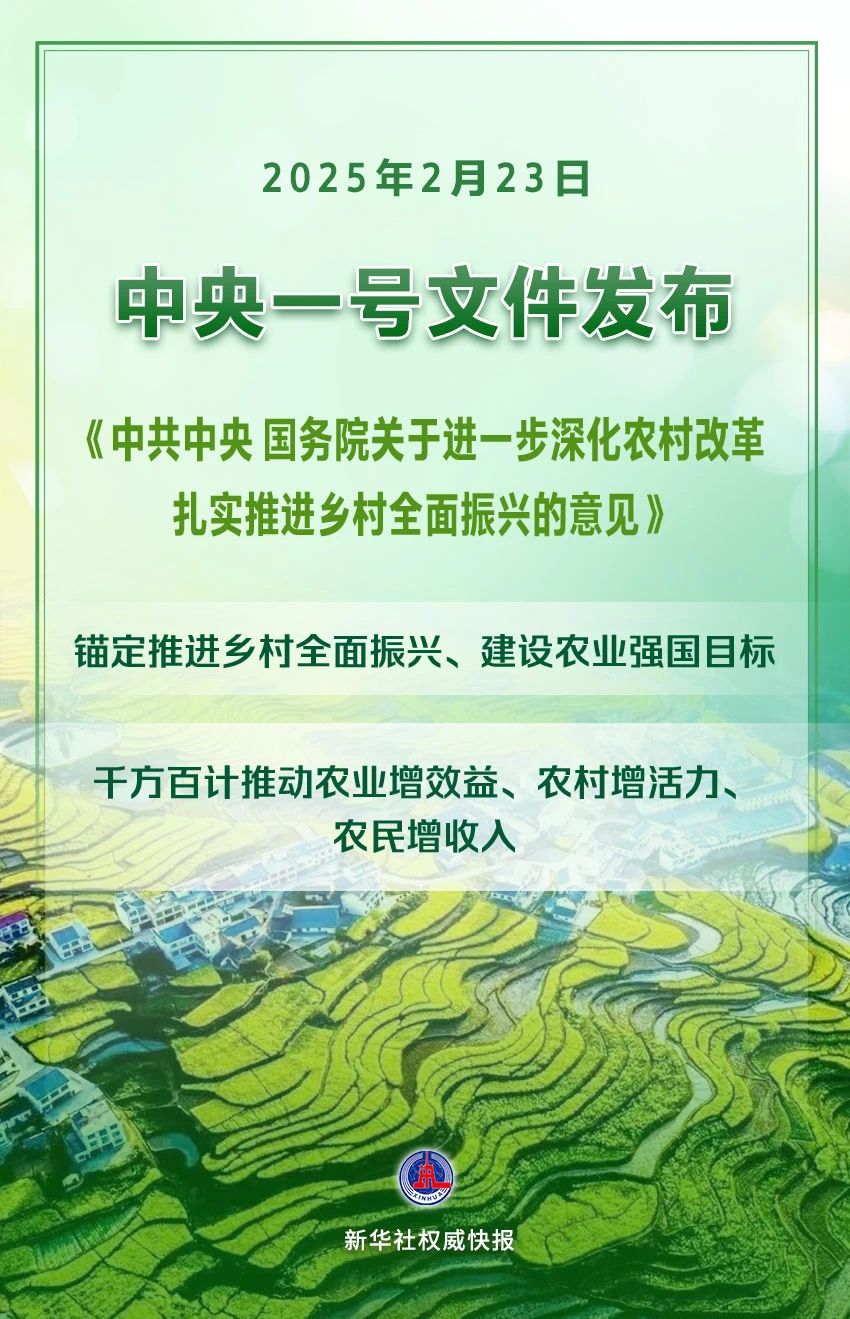 2025年中央一号文件发布！