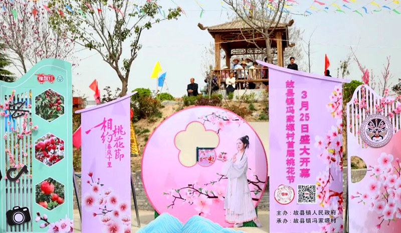 故县镇冯家塬村“豫塬红”桃花季开幕