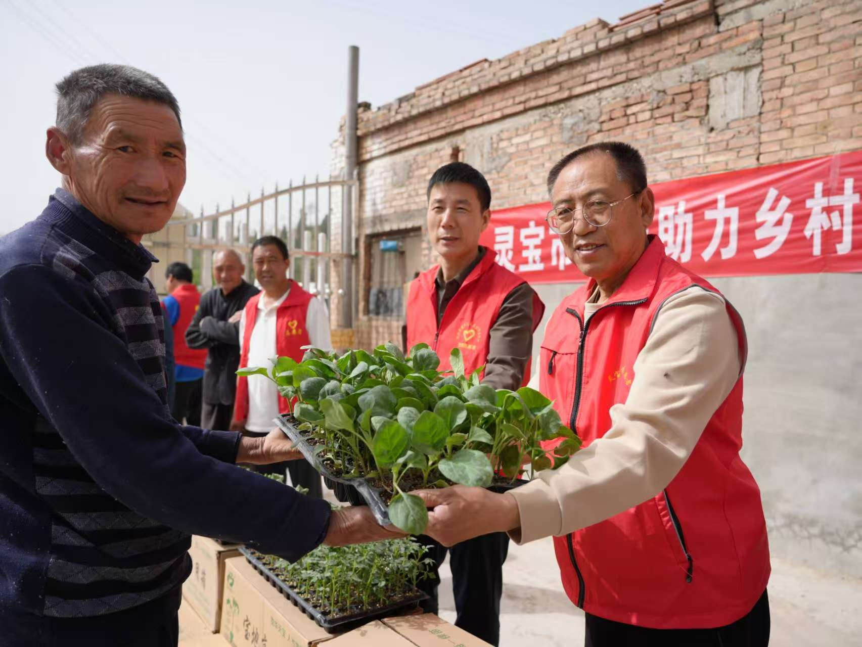 灵宝市科协科技志愿服务在行动