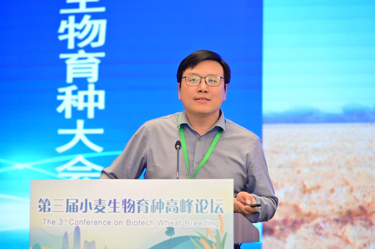2025年度河南省首席科普专家——陈向东