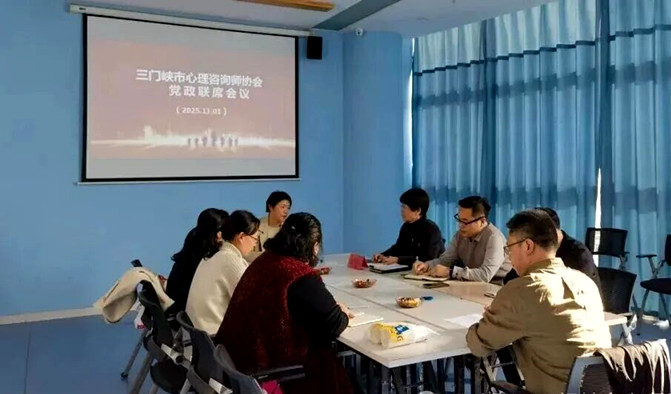 党建引领强规范 凝心聚力启新程——三门峡市心理咨询师协会党政联席会议圆满召开