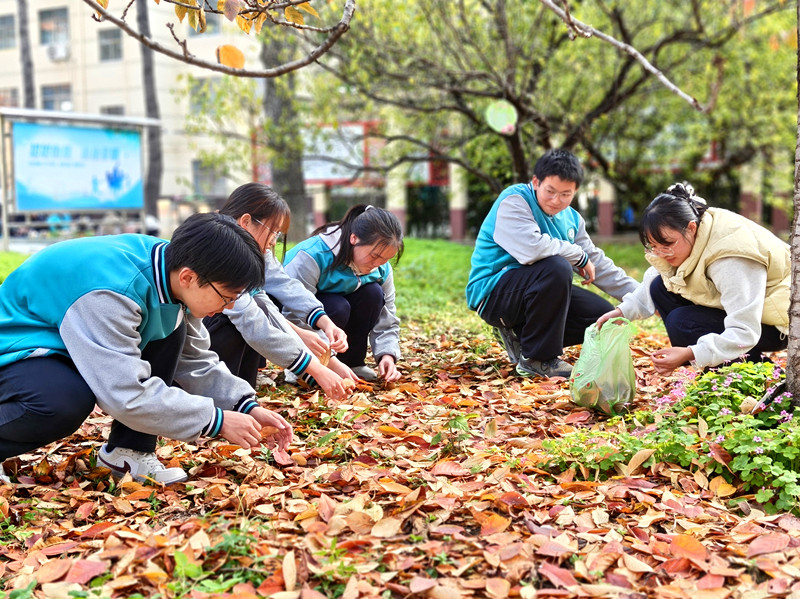 秋韵乐园藏巧思 创意手工润美育——灵宝市阳平镇第一初级中学开展创意手工课堂