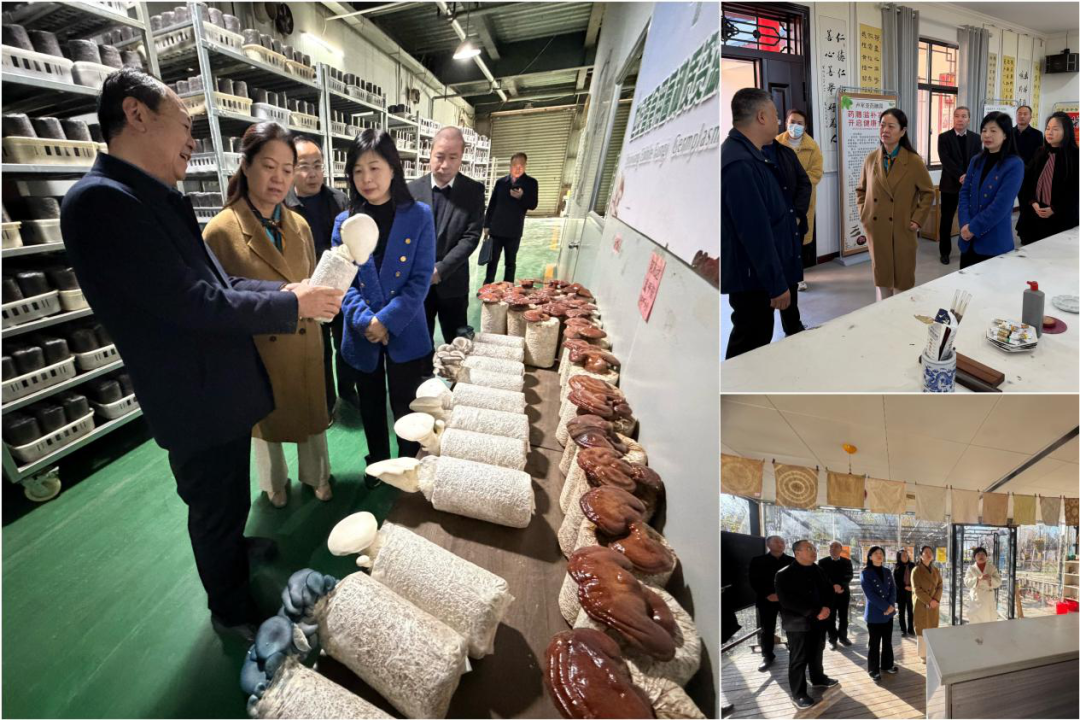 许昌市科协深入基层宣讲党的二十届四中全会精神并调研