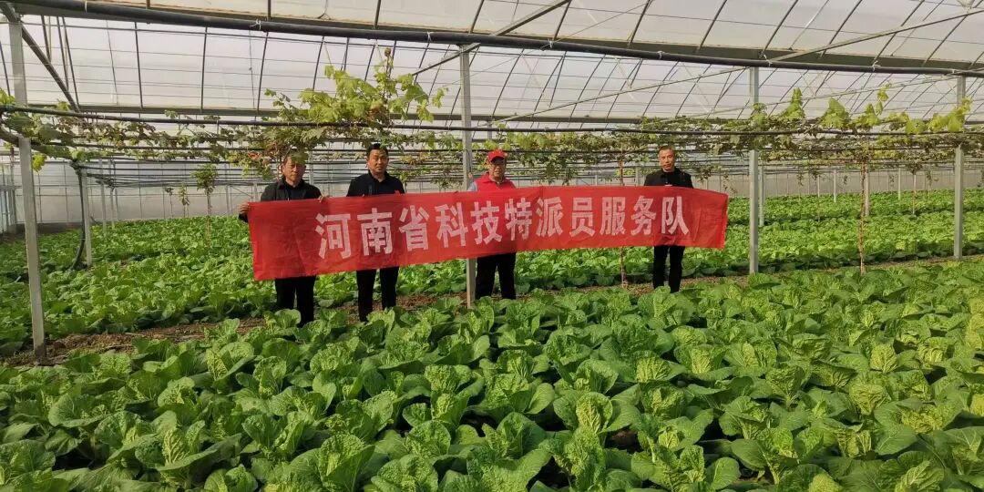 周口市科协组织专家赴郸城开展科技服务助推农业产业升级