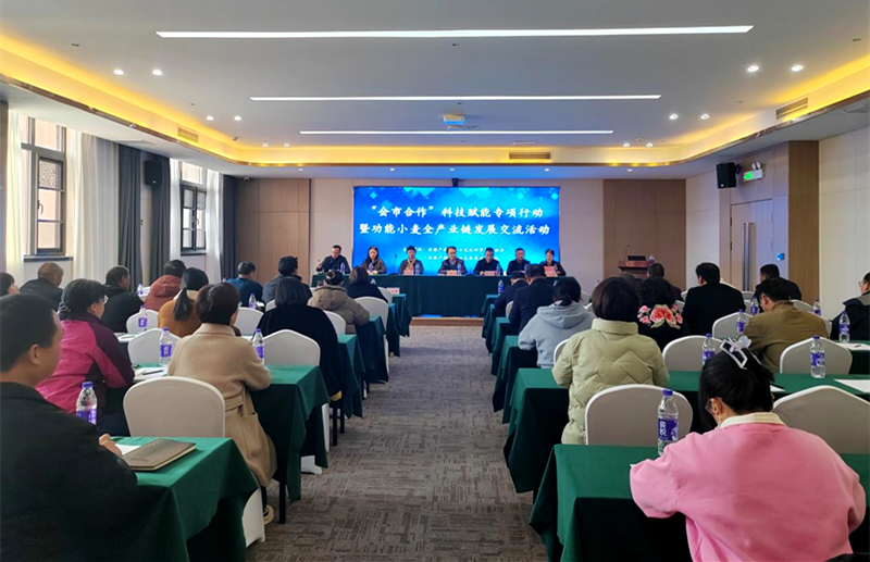 “会市合作”推动功能小麦全产业链发展交流活动在济源举办