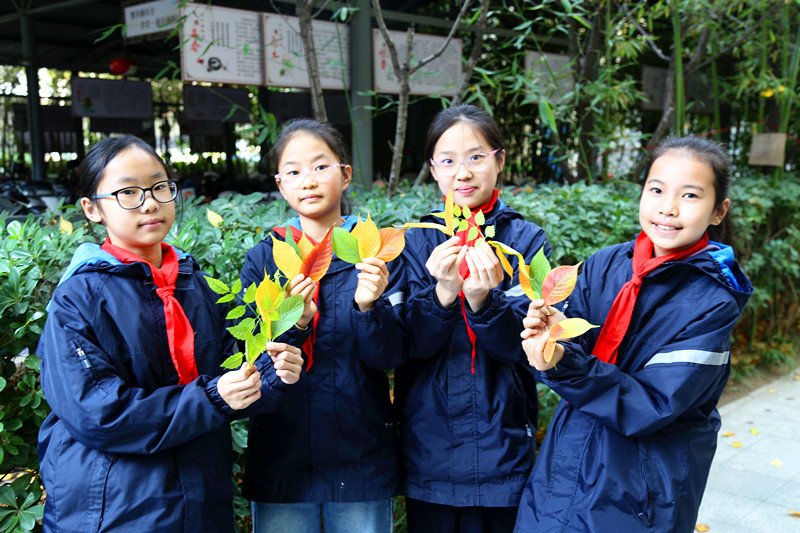 冬叶拼地图，童心绘山河——郑州市金水区南阳路第二小学开展“爱国情怀”主题活动