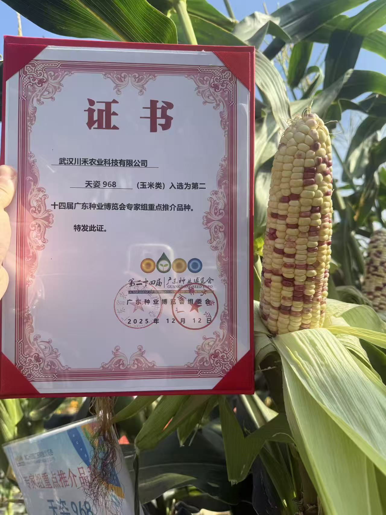 联创种业控股川禾农业 构建玉米全产业链布局