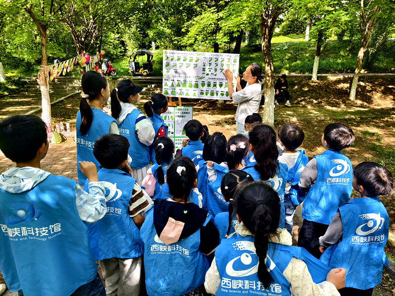 融自然于科普 汇趣味于研学 ——西峡科技馆开展户外科普研学活动