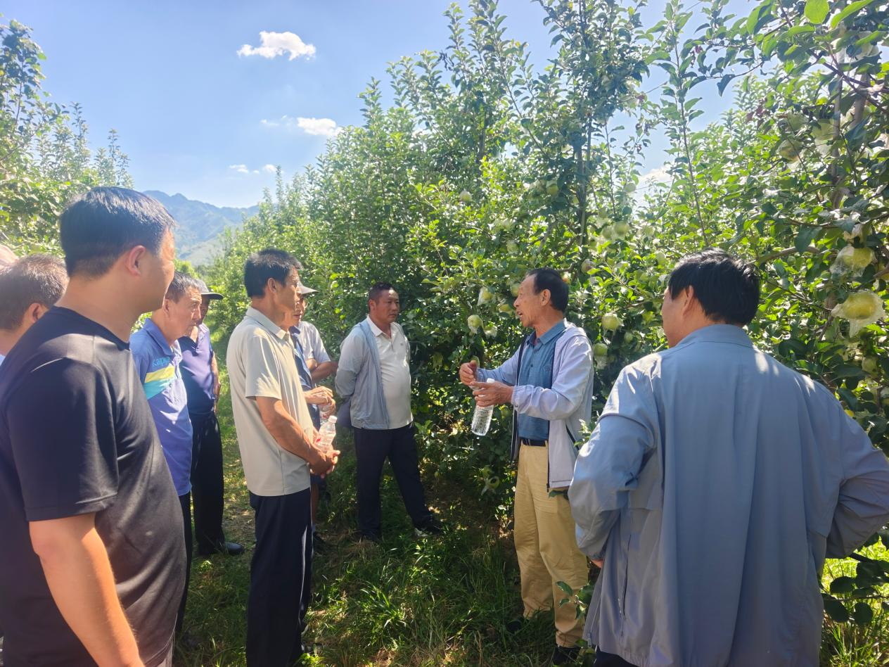 实地问诊果园 聚力提质增效  三门峡市园艺学会邀请专家开展技术交流指导