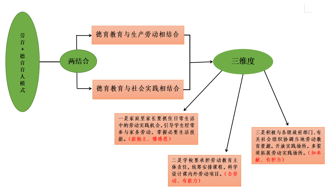 依托劳动教育  落实立德树人——罗山县第三实验小学“劳育+德育”育人模式构建及实践