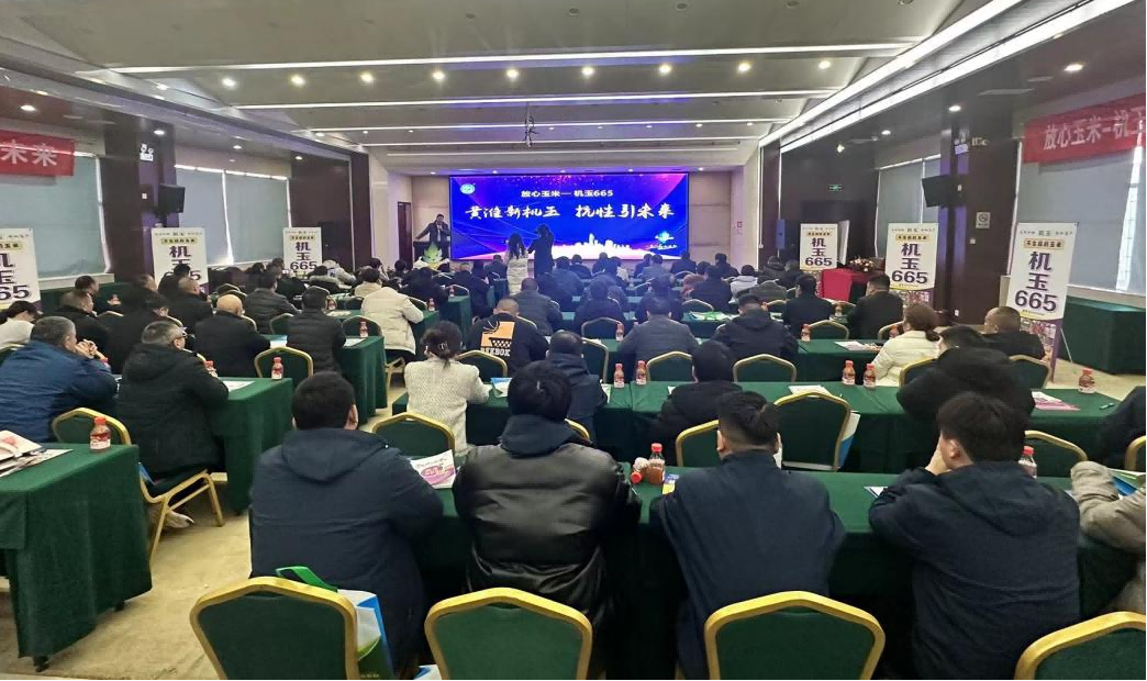 黄淮区域新“机玉”  机玉665以超抗性引领未来