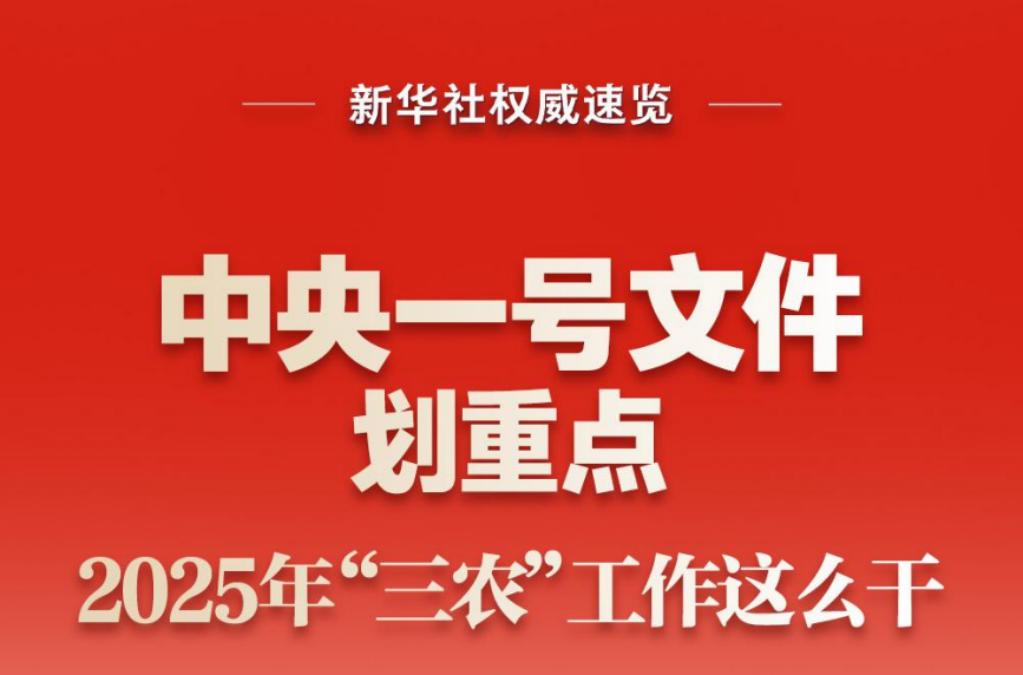 中央一号文件划重点，2025年“三农”工作这么干