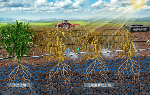 光纤“听诊”，破解土壤“脉动”密码