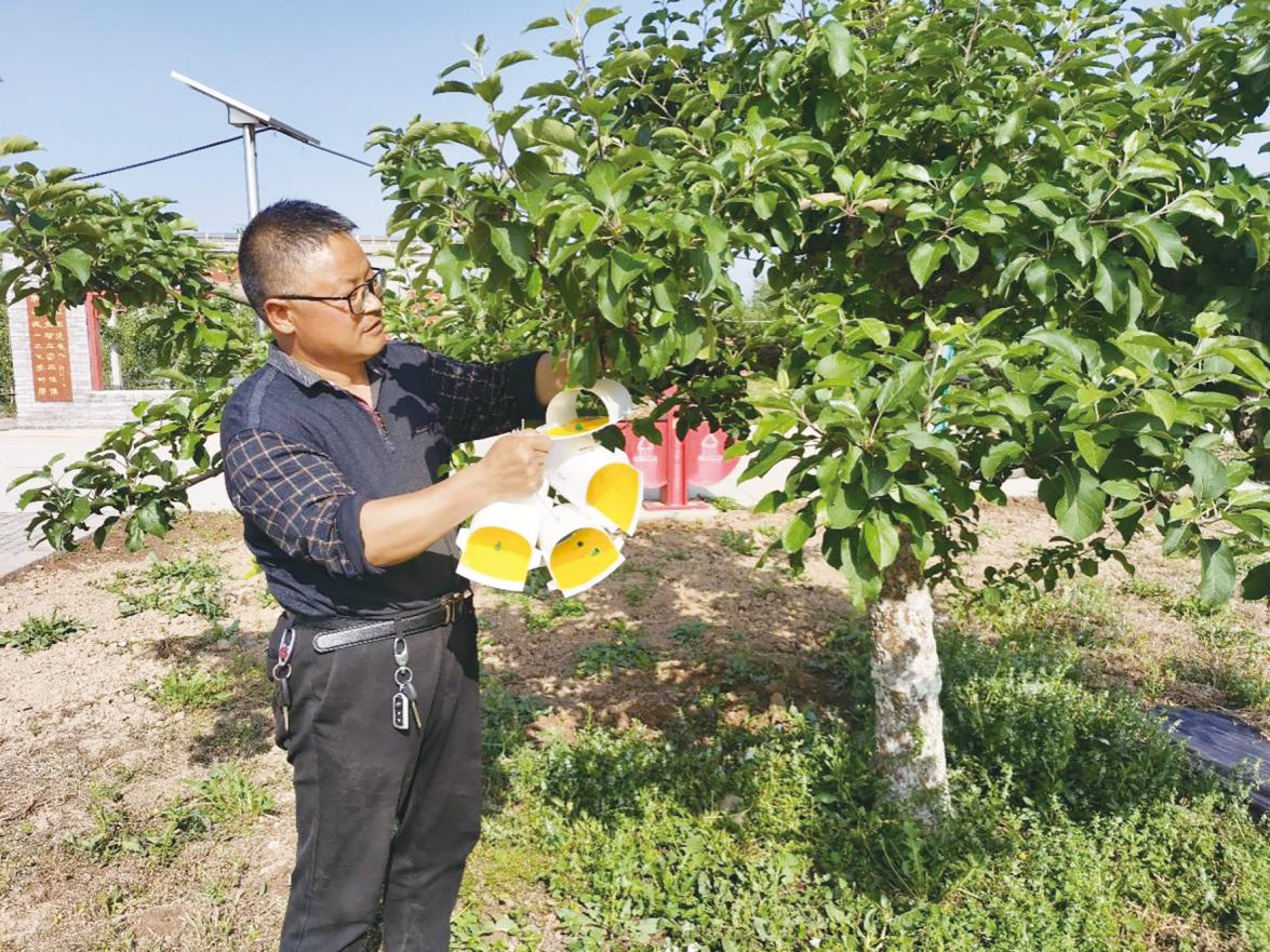 王同春：三十余载把农技播撒在家乡土地上