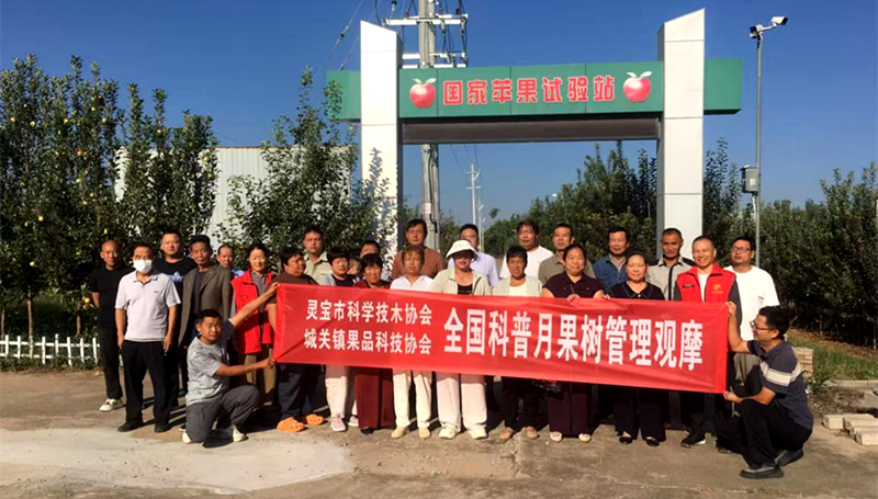 科技赋能果业 助力乡村振兴——灵宝市科协组织果农赴三门峡观摩学习