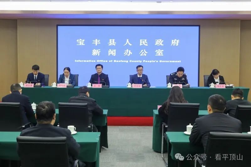 2024年中国宝丰马街书会节目数量再创历史新高