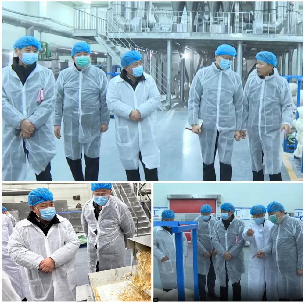 省老科协副会长谷振清一行赴周口市龙头企业“把脉问诊”助力破解技术壁垒