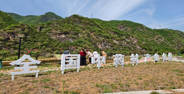西峡县科协深入米坪镇调研中药材科技小院项目建设