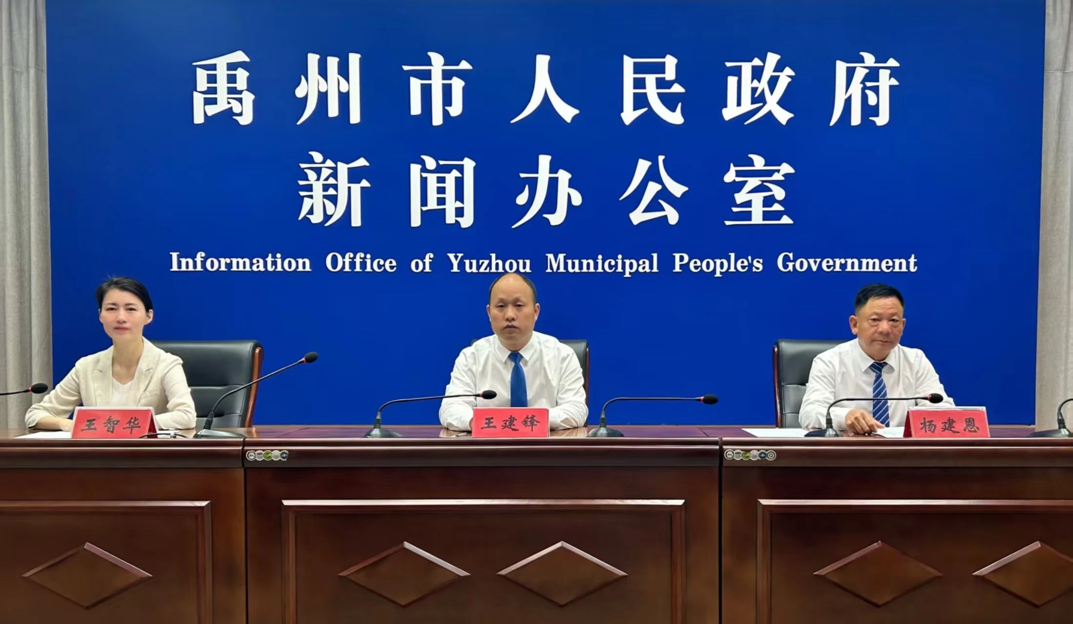 禹州闵庄村杏果采摘节新闻发布会举行  邀您共赴“杏”福之约！