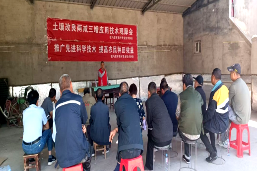 驻马店市农村专业技术协会开展“土壤改良两减三增，助力小麦单产提升”技术培训