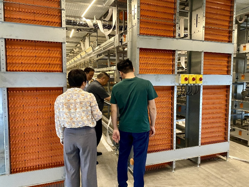 漯河市首席科普专家开展蛋鸡立体养殖技术指导