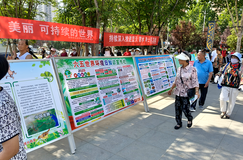 以行动之名，赴生态之约—南阳市生态环境局宛城分局开展“6-5世界环境日”宣传活动