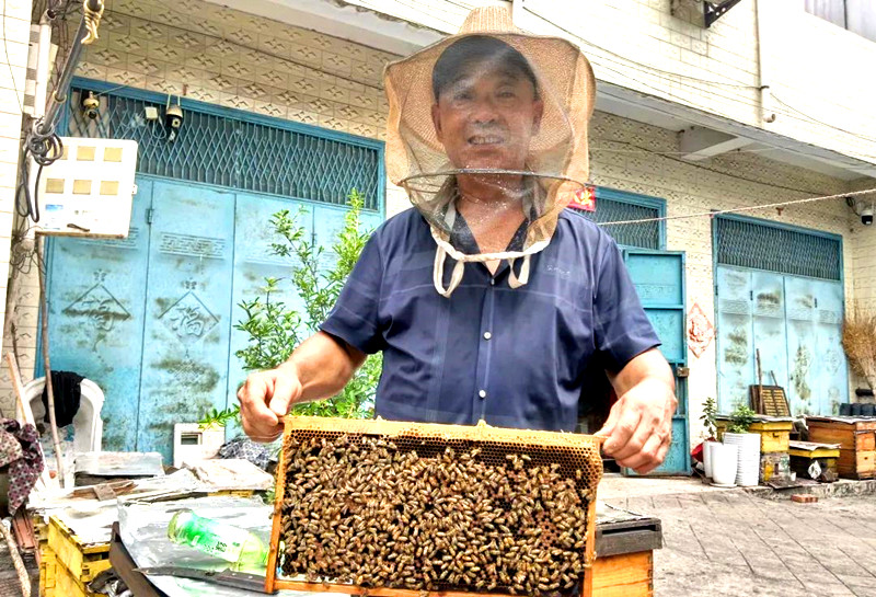禹州市花南村李留记的“甜蜜事业”