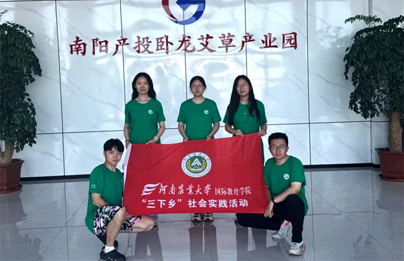 深耕艾草谋振兴，誓承遗志启新程——河南农大国际教育学院暑期“三下乡”社会实践活动