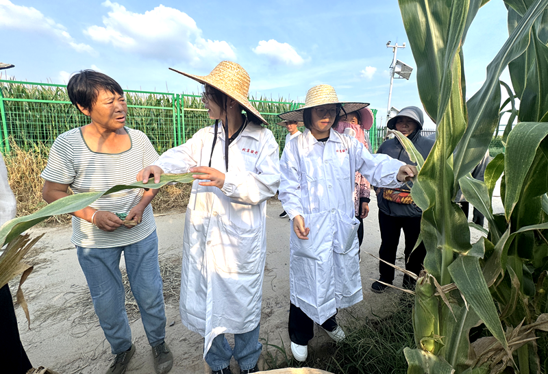 河南省植物病理学会组织开展夏玉米后期病虫害防治科技服务活动