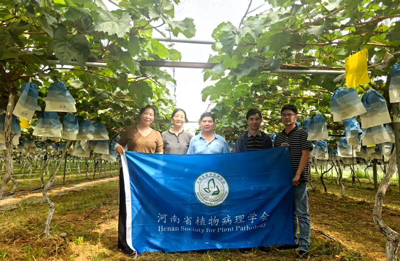 河南省植物病理学会组织专家开展果树病害考察与科技服务活动