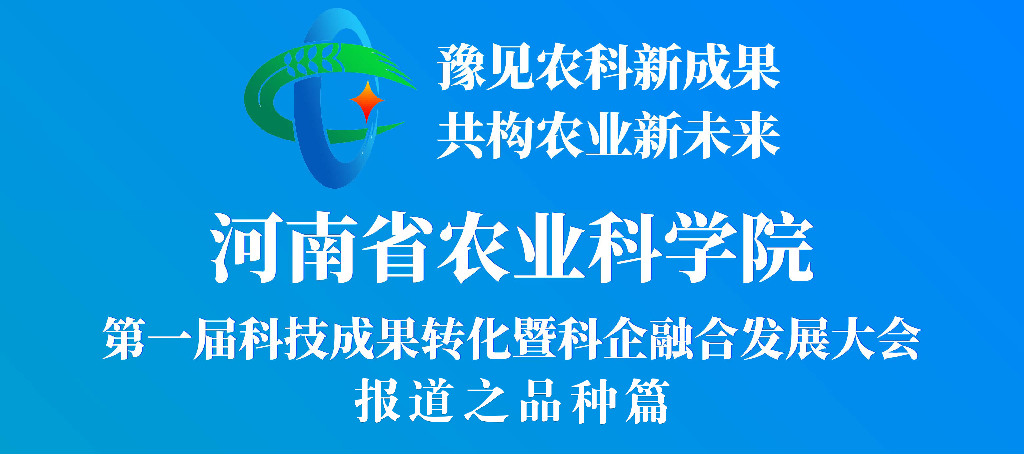 河南省农科院重大品种推广利用范式——一粒种子•参天大树•浩瀚森林