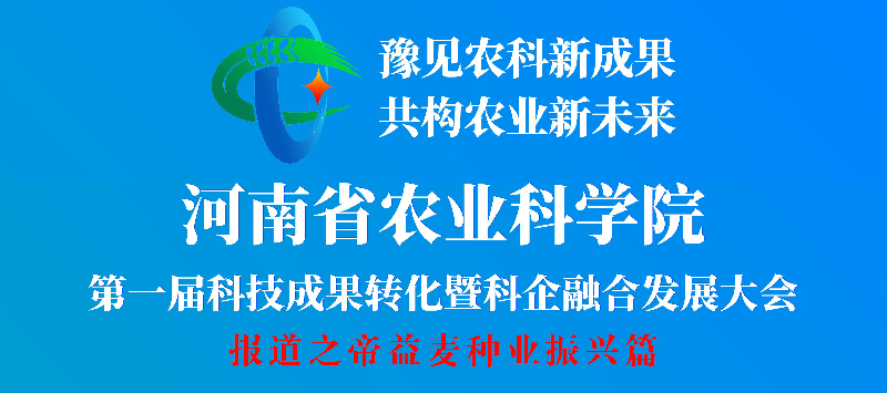 麦浪逐梦：种业强国的“帝益麦样本”