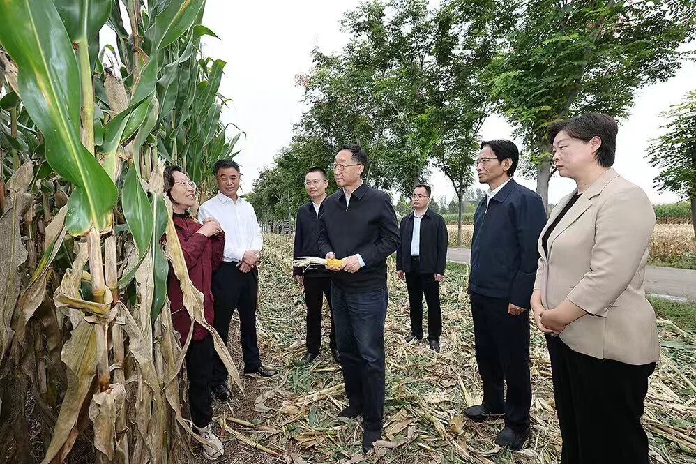 刘宁到开封市部分县区调研检查秋粮生产、项目建设等工作