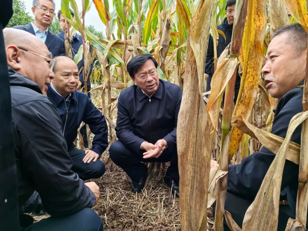 农业农村部部长韩俊在河南调研“三秋”生产工作