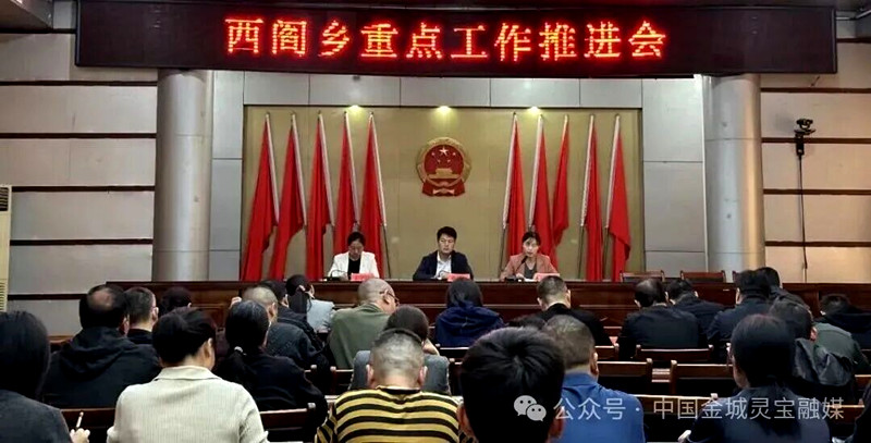 灵宝西阎乡：秋雨砺初心 抢收保民安