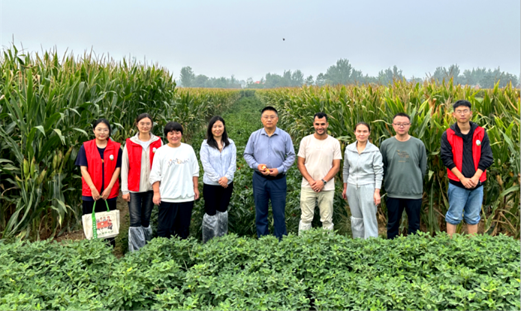 从田野到国赛舞台，他们的夺金故事