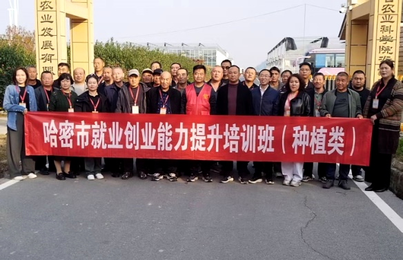 河南省蜜瓜产业科技特派员服务团赴兰考县指导秋冬季大棚生产