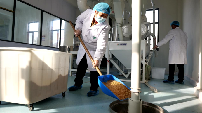 真香！小石磨转出“增收曲”