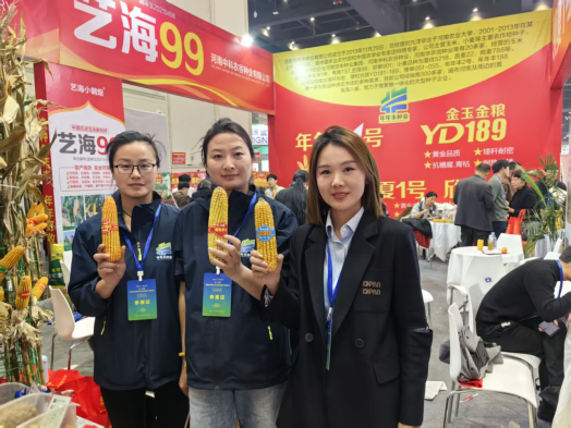 河南年年丰种业惊艳亮相2025河南省秋季种子信息交流暨产品展览会