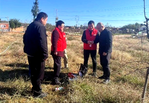 给樱桃园“开食谱”：河南农大科技特派员破解微量元素缺乏难题