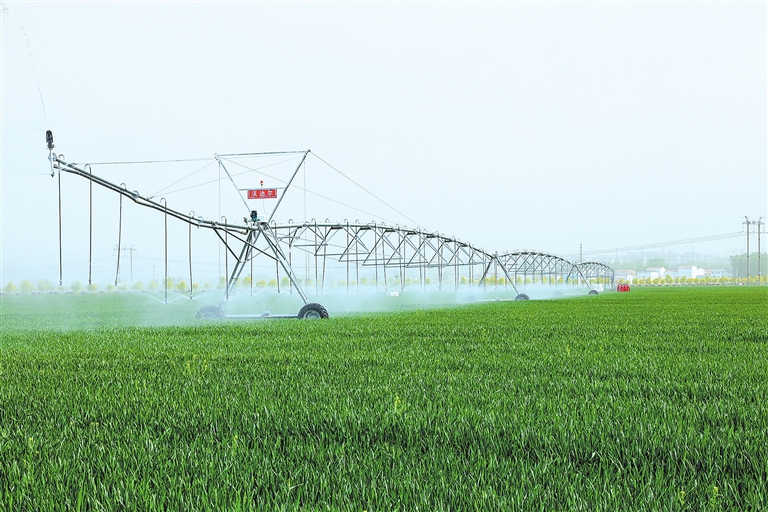 天上有卫星，地面有气象站……种粮“神兵利器”各显神通 农高区刷新智慧农业图景