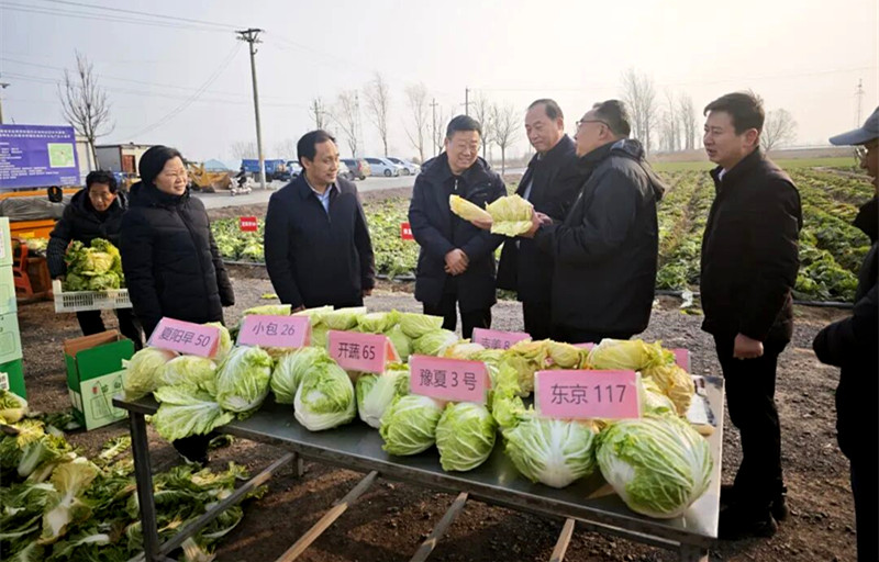 省老科协乡村振兴专委会赴永城开展专题调研