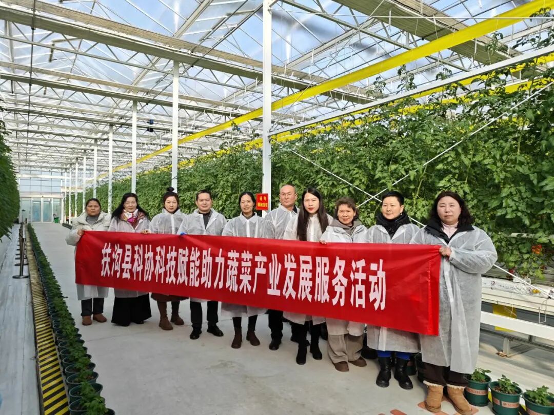 扶沟县科协开展“科技赋能助力蔬菜产业发展”服务活动